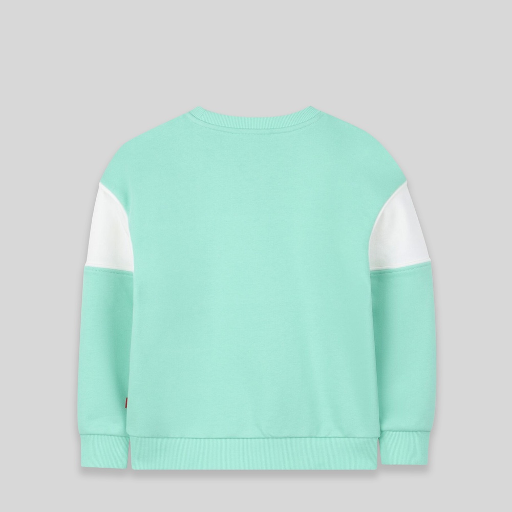 Hugo Kids 'Athletics Club' Color-Block Sweatshirt