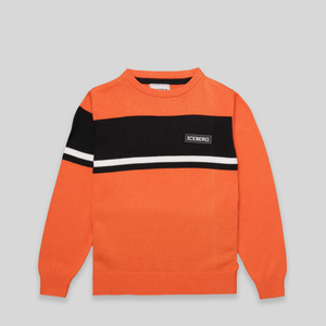 Iceberg Kids Panel Logo Sweater