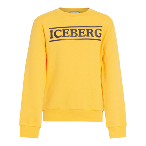 Iceberg sweater discount snoopy